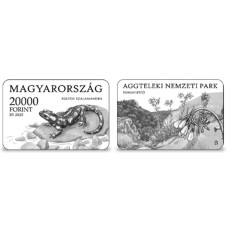 2025. Aggteleki Nemzeti Park - ezüst érme